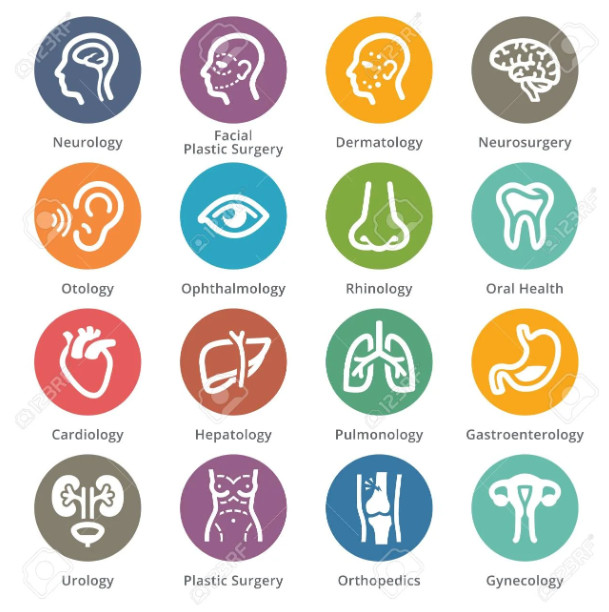 Diferencias entre especialidad y subespecialidad médica